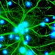 Image for article titled Spinal Cord Injuries Lead to a Very Odd (But Serious) Risk